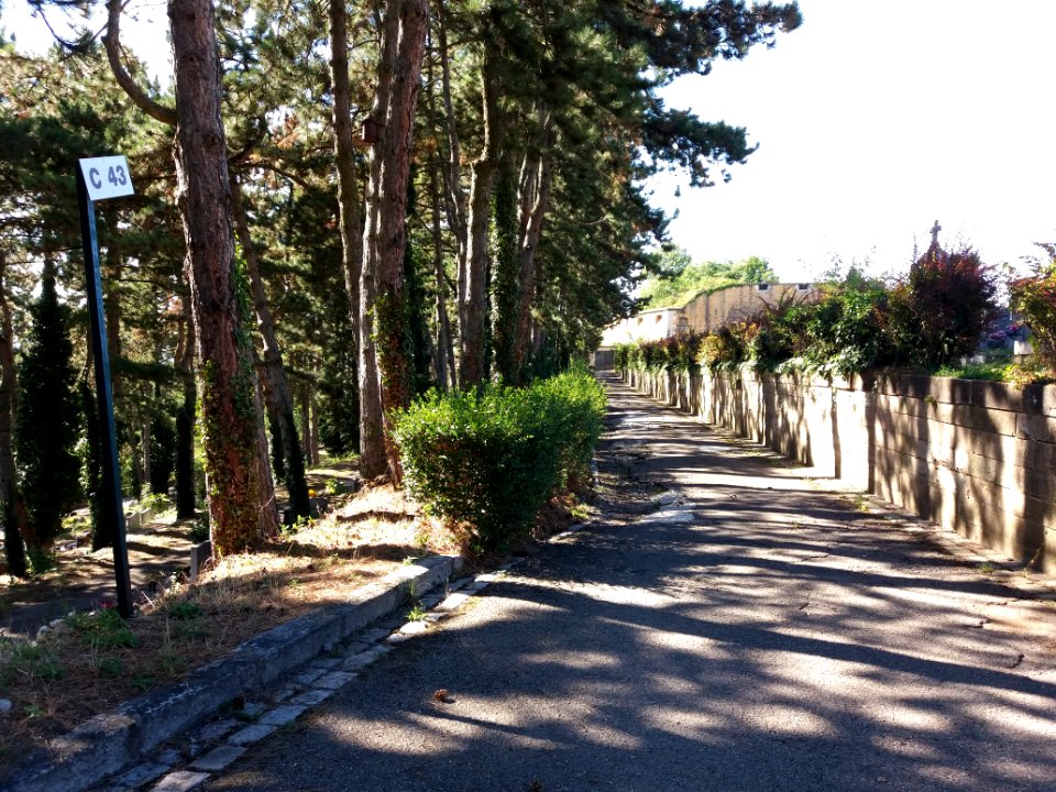 Lyon - Cimetière de Loyasse - Section C 43