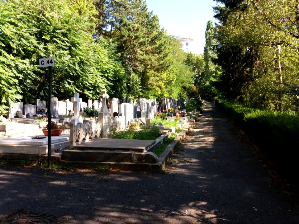 Lyon - Cimetière de Loyasse - Section C 44