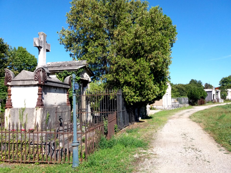 Lyon - Cimetière Loyasse - Allée 81