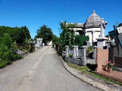 Lyon - Cimetière Loyasse - Allée 5