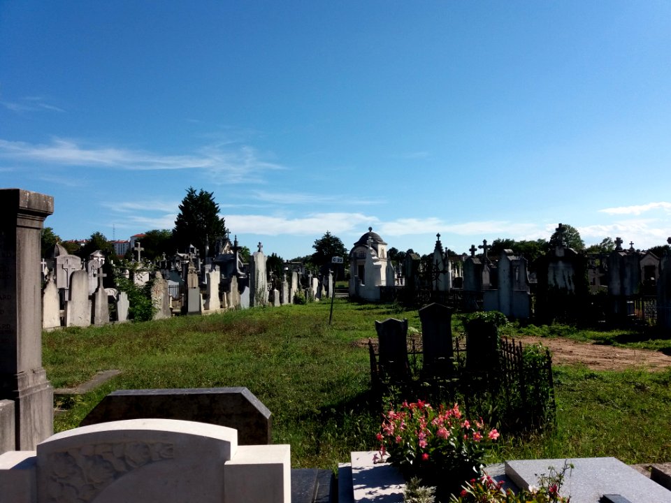 Lyon - Cimetière Loyasse - Bloc C 23