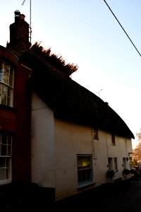 Lympstone 2020-01-19 (55)