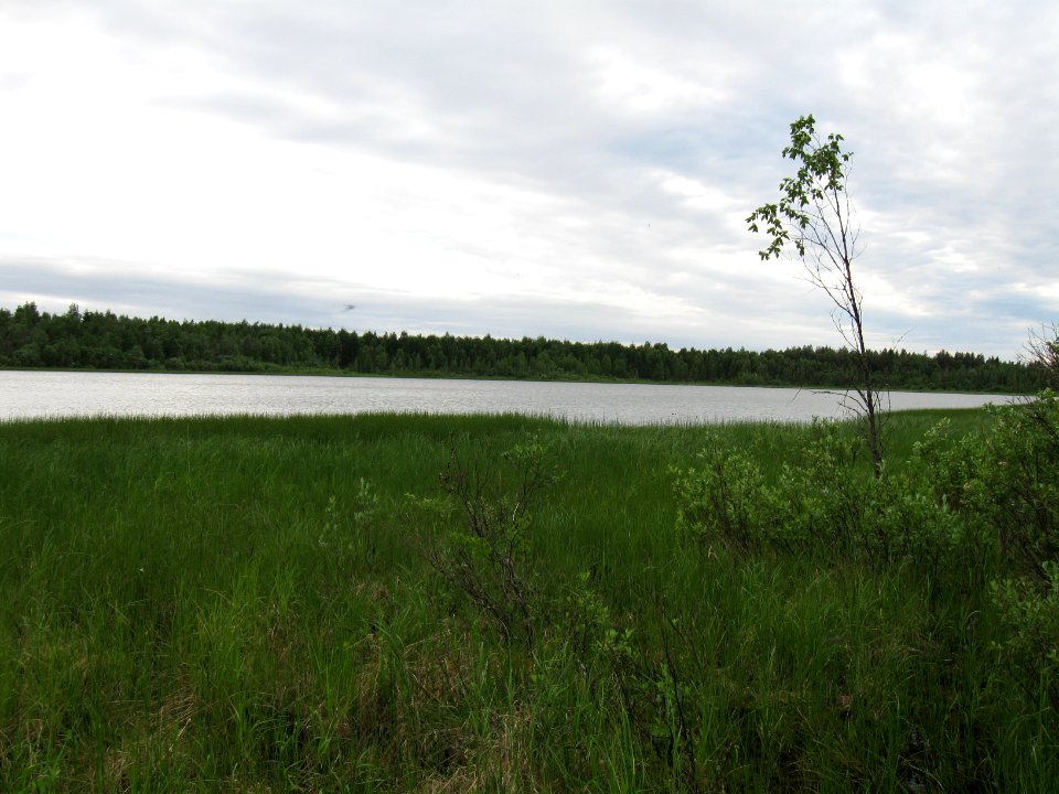 Lylyjärvi Oulu