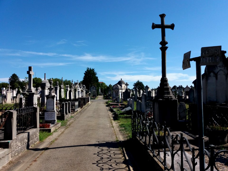 Lyon - Cimetière Loyasse - Allée 10