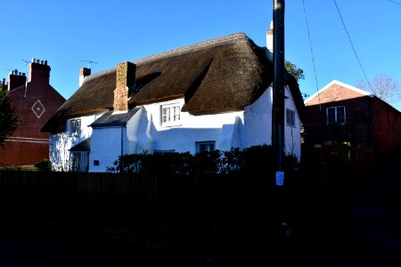 Lympstone 2020-01-19 (34)