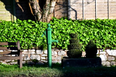 Lympstone 2020-01-19 (37)