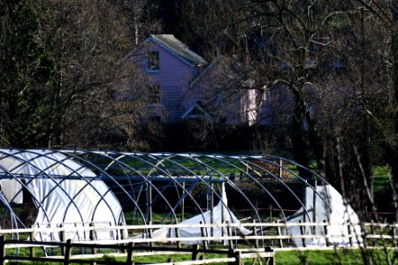 Lympstone 2020-01-19 (23)