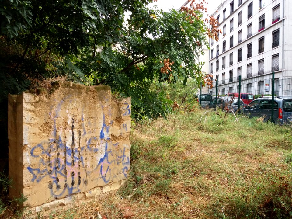 Lyon 1er - Montée du Lieutenant Allouche - Jardin en friche à l'angle de la rue du Bon Pasteur - Petit mur