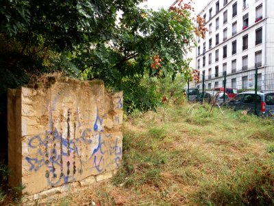 Lyon 1er - Montée du Lieutenant Allouche - Jardin en friche à l'angle de la rue du Bon Pasteur - Petit mur