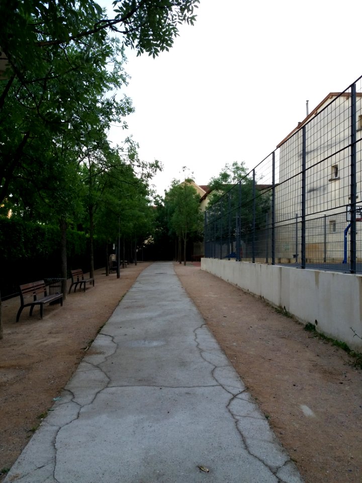 Lyon 1er - Jardin Raoul Dufy, en allant vers l'impasse des Pierres Plantées