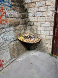 Lyon 1er - Montée du Lieutenant Allouche - Bouclier anti-pipi (2)