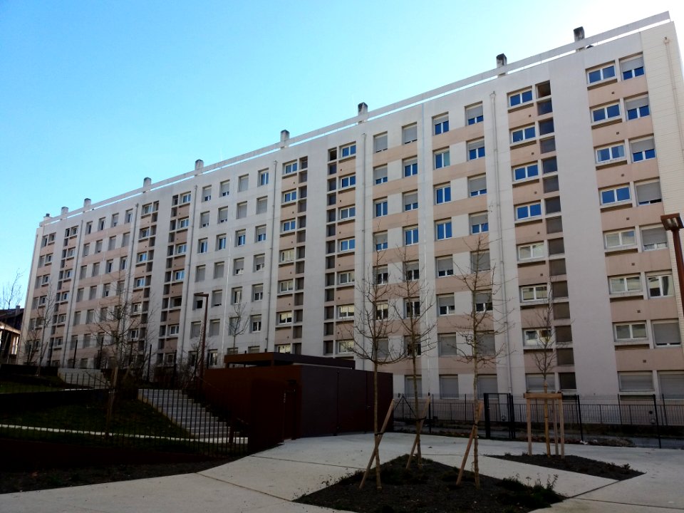 Lyon 2e - Cours Suchet, logements des numéros 5 à 9bis, arrière
