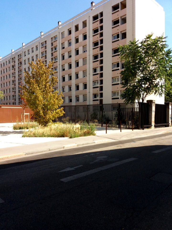 Lyon 2e - Cours Suchet, logements des numéros 5 à 9bis, nettoyage et désamiantage (1)