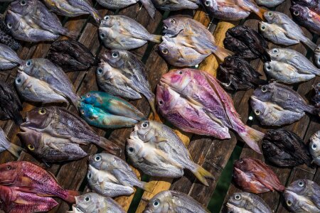 Salted fish dried fish color