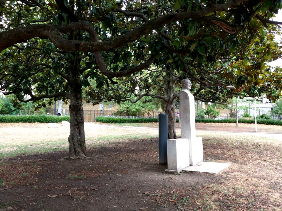 Lyon 1er - Jardin des Chartreux - Buste de Pétrus Sambardier sous son arbre