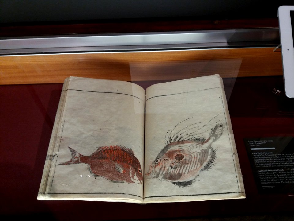 Lyon 1er - Musée de l'imprimerie - L'Odyssée des Livres Sauvés, Kitao Masayoshi, Livre des poissons