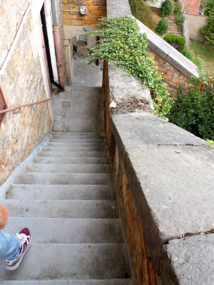 Lyon 1er - Bastion Saint Laurent, escalier extérieur (1)