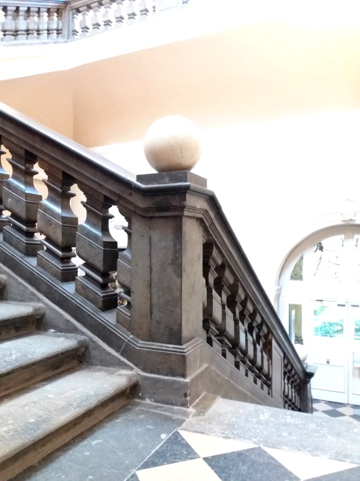 Lyon 1er - Palais Saint-Pierre, escalier d'honneur des Dames de Saint-Pierre, boule du premier palier (2)