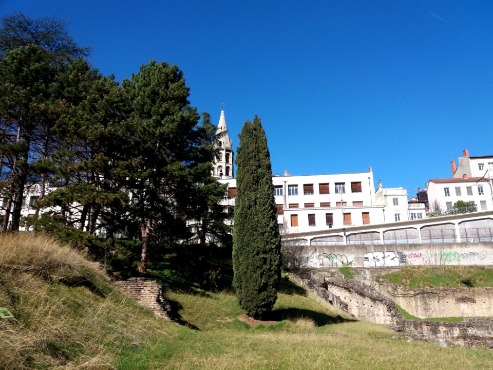Lyon 1er - Jardin des Plantes, arbres et vue sur le clocher de l'église du Bon Pasteur