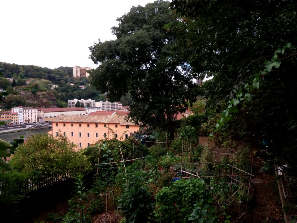Lyon 1er - Jardin de la Muette (2)