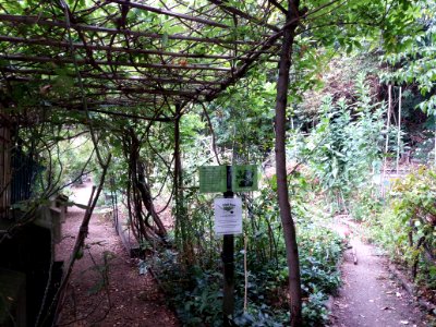 Lyon 1er - Jardin de la Muette (1)