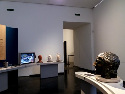 Lyon 1er - Musée des Beaux-Arts, exposition L'art et la matière (2)