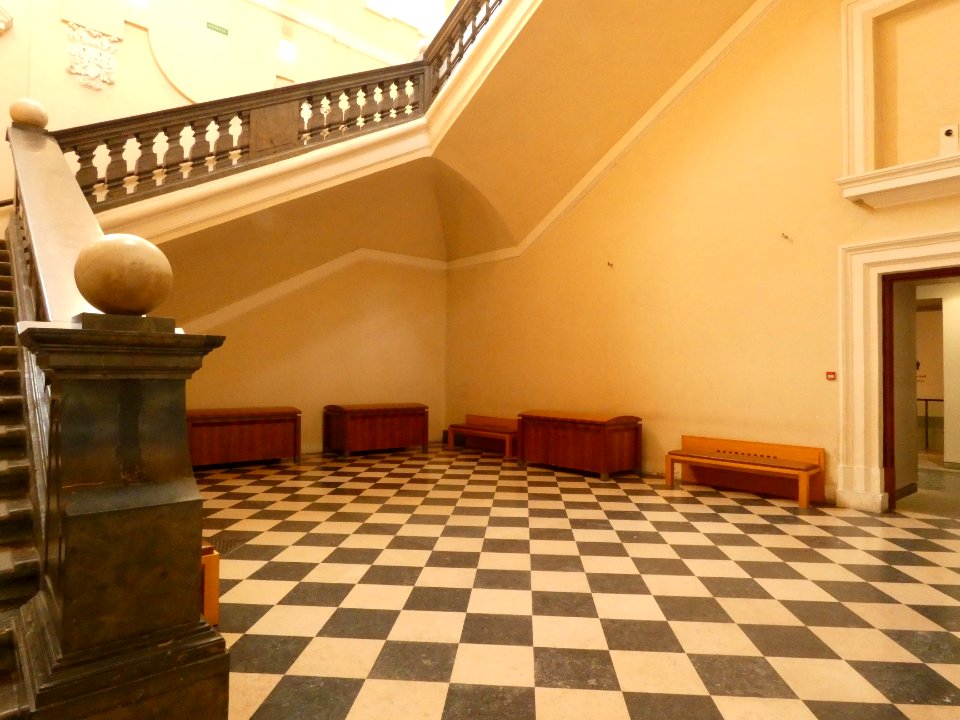 Lyon 1er - Palais Saint-Pierre - Escalier d'honneur des Dames de Saint-Pierre - Rez-de-jardin 01