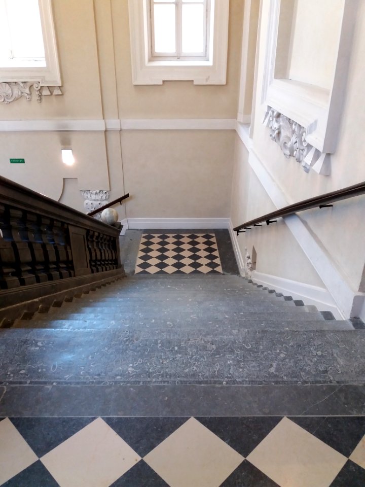 Lyon 1er - Palais Saint-Pierre, escalier d'honneur des Dames de Saint-Pierre, troisième volée depuis le palier d'arrivée