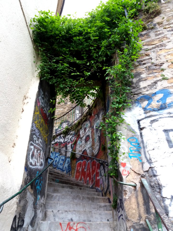 Lyon 1er - Montée Coquillat, en arrivant ruelle des Fantasques