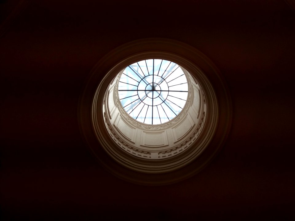 Lyon 1er - Palais Saint-Pierre, escalier d'honneur des Dames de Saint-Pierre, moulures du lanterneau