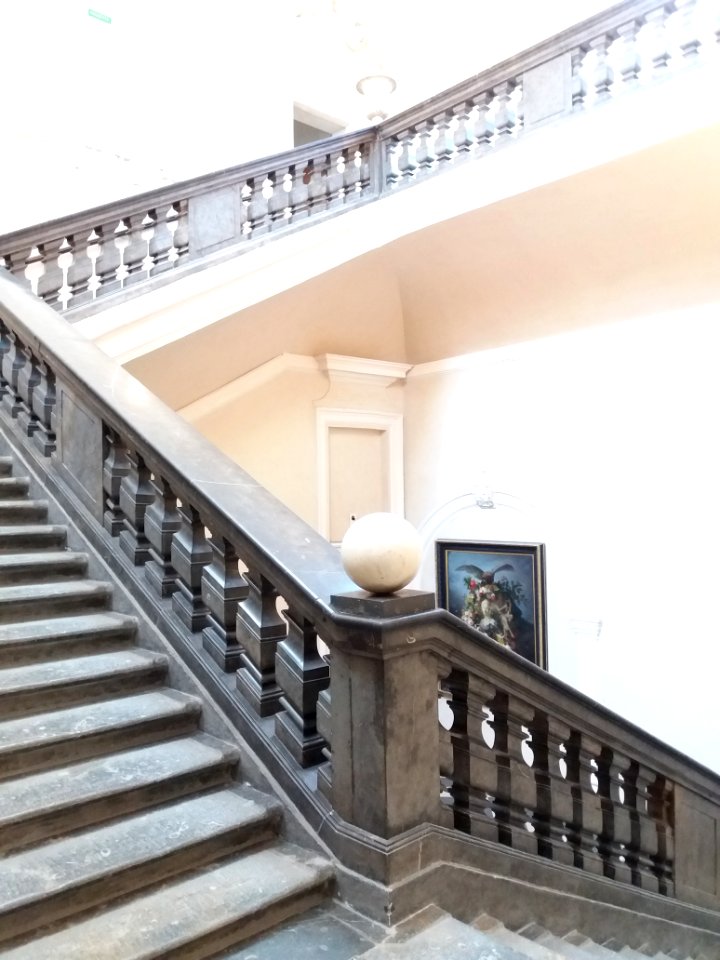 Lyon 1er - Palais Saint-Pierre, escalier d'honneur des Dames de Saint-Pierre, boule du premier palier (1)