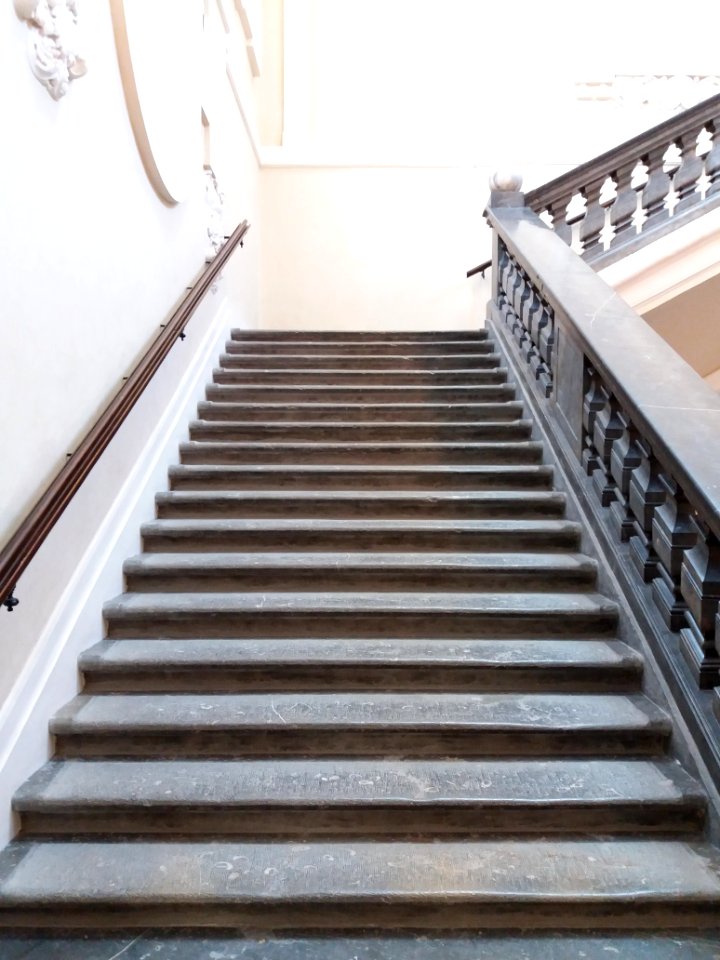 Lyon 1er - Palais Saint-Pierre, escalier d'honneur des Dames de Saint-Pierre, deuxième volée depuis le premier palier