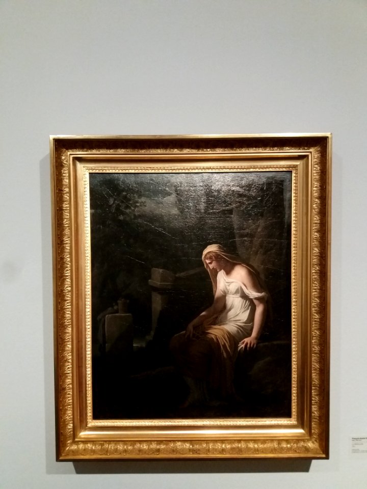 Lyon 1er - Musée des Beaux-Arts de Lyon - Exposition Drapé - La Mélancolie, par François-André Vincent, 1801