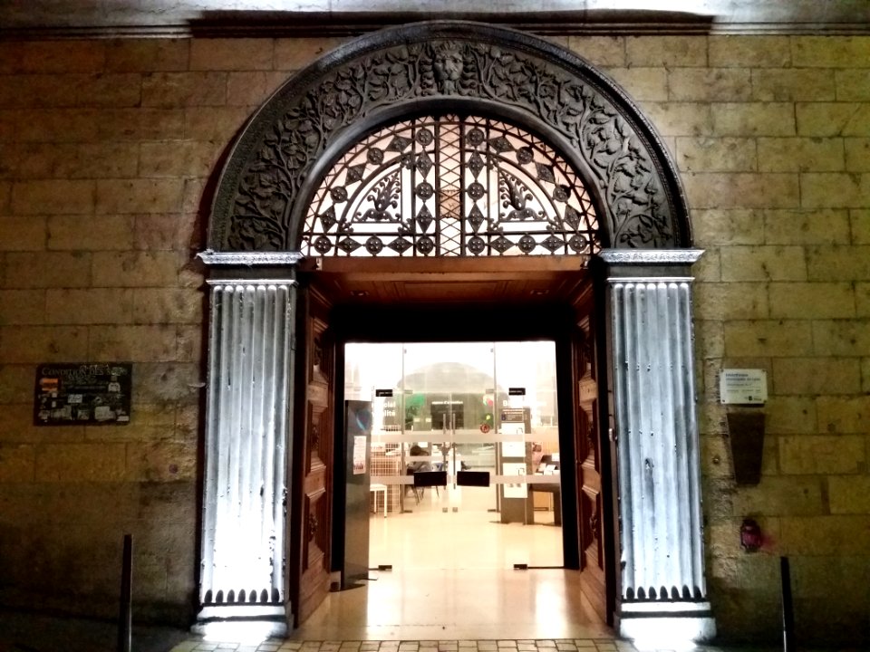 Lyon 1er - Rue Saint Polycarpe, porte de la bibliothèque, de nuit