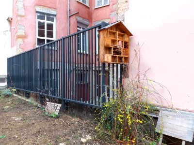 Lyon 1er - Square de l'Abbé Rozier, hôtel à insectes