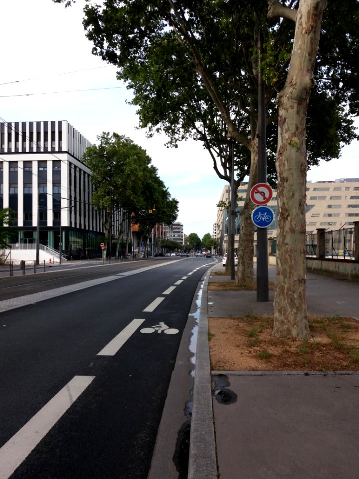 Lyon 2e - Cours Charlemagne, vers le nord, en arrivant rue Paul Montrochet