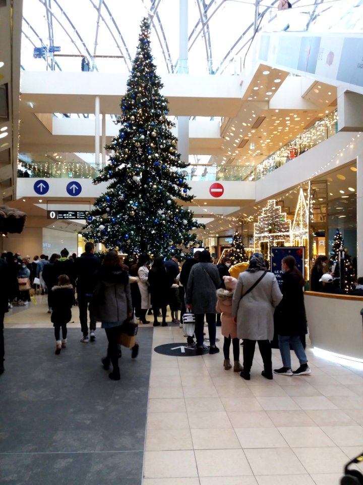 Lyon 2e - Centre commercial Confluence - Sapin de Noël 2020