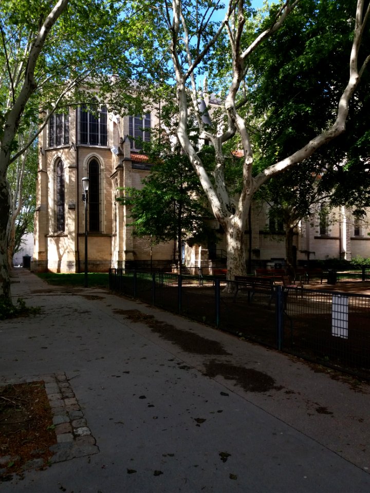 Lyon 2e - Église Saint-Blandine, chevet à travers les arbres