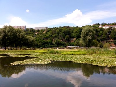 Lyon 2e - Jardin aquatique de Ouagadougou, depuis l'allée André Mure