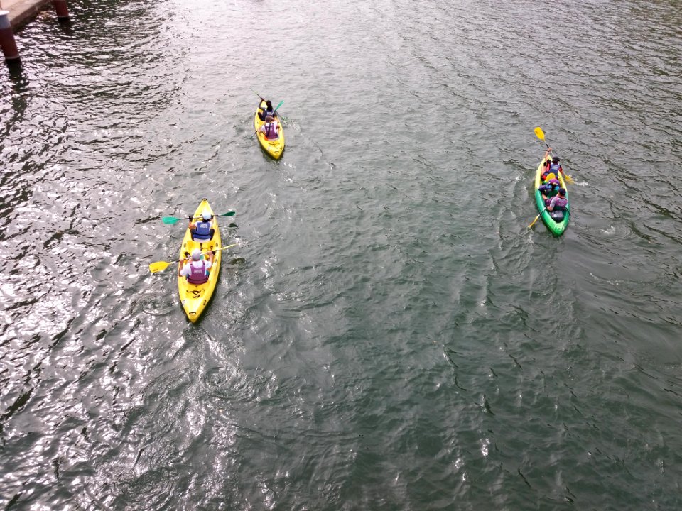 Lyon 2e - Passerelle Paul Couturier - Lyon Kayak 2019 (2)