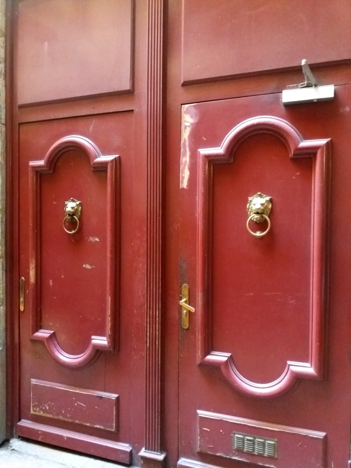 Lyon 2e - Passage des Imprimeurs, portes aux lions (2)