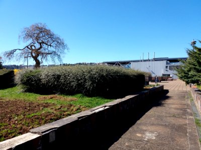Lyon 2e - Jardins suspendus de Perrache, côté Rhône, allée nord