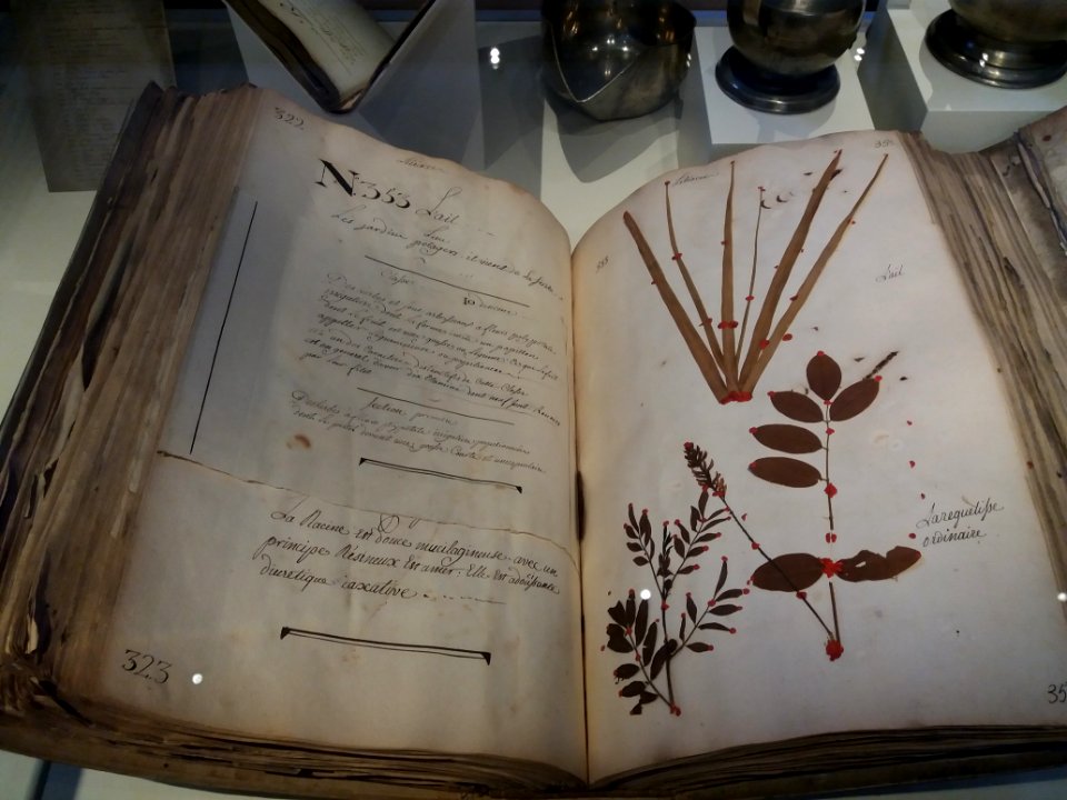 Lyon 2e - Hôtel Dieu de Lyon - Journées du patrimoine 2020 - Herbier ou jardin sec, pages 322 et 323
