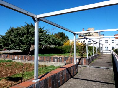 Lyon 2e - Jardins suspendus de Perrache, côté Rhône, allée est, croisement