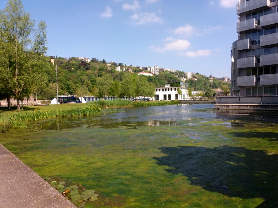 Lyon 2e - Jardin aquatique Jean Couty, côté nord-ouest
