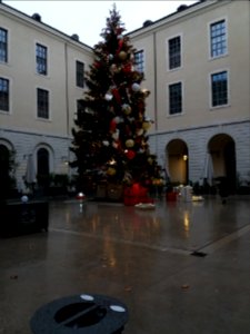 Lyon 2e - Hôtel-Dieu de Lyon - Sapin de Noël 2020