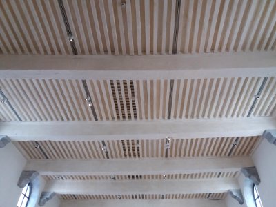 Lyon 2e - Hôtel Dieu de Lyon - Plafond à la française d'une aile autour de l'ancienne chapelle
