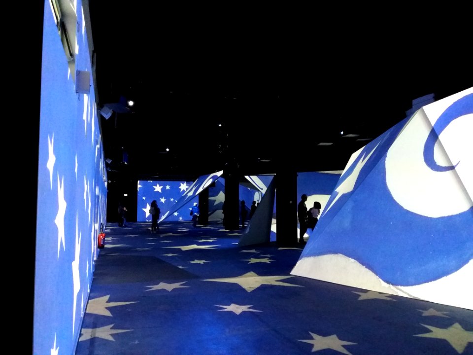 Lyon 2e - La Sucrière - Imagine Picasso, exposition immersive (1)