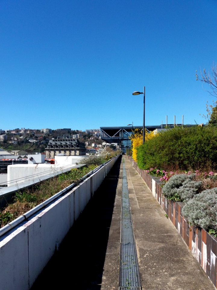 Lyon 2e - Jardins suspendus de Perrache, côté Rhône, allée sud côté ouest