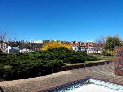 Lyon 2e - Jardins suspendus de Perrache, côté Saône, bassin et vue sur la basilique de Fourvière
